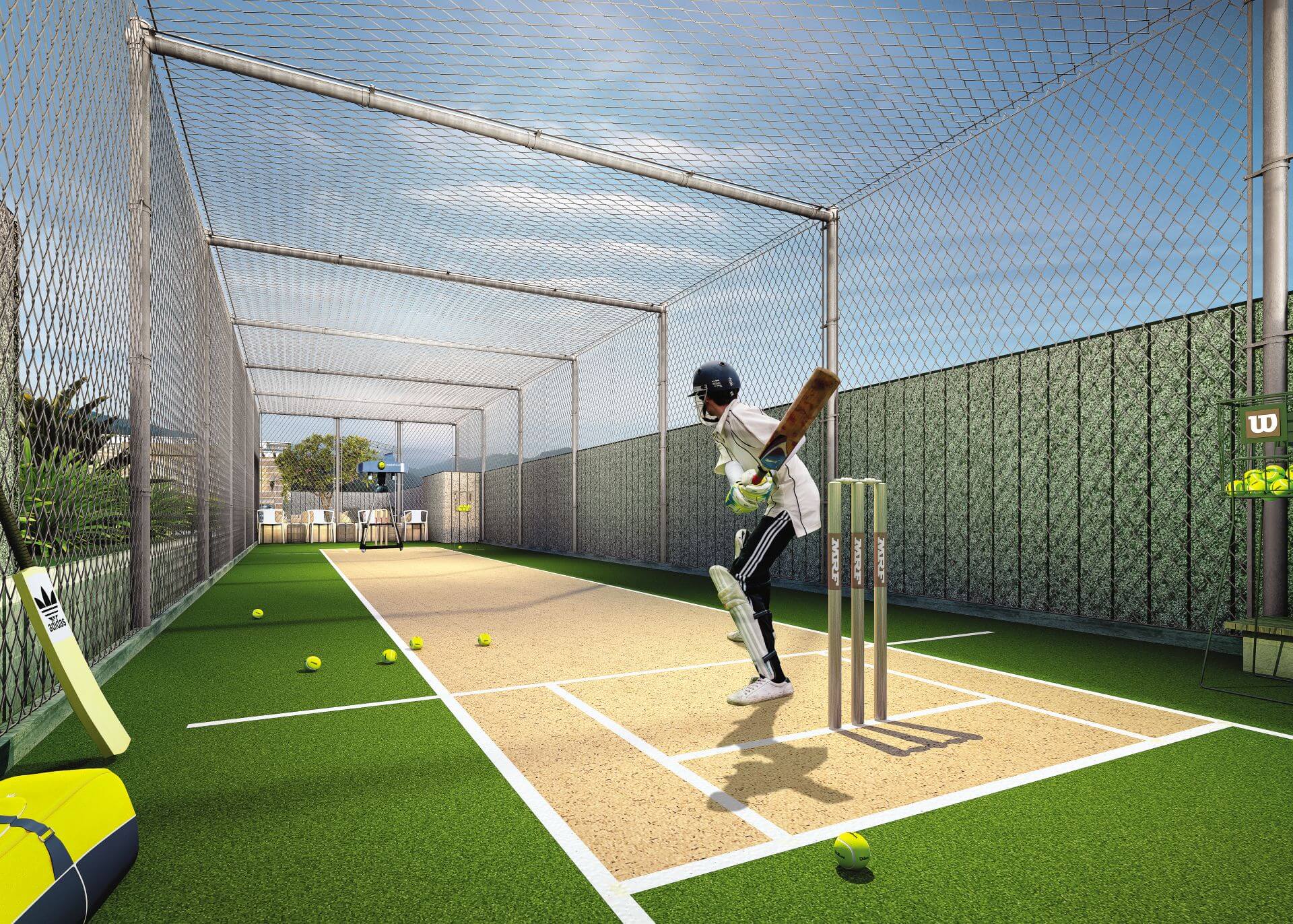 Cricket Pitch