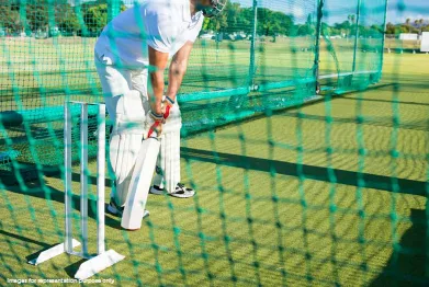 Cricket Pitch